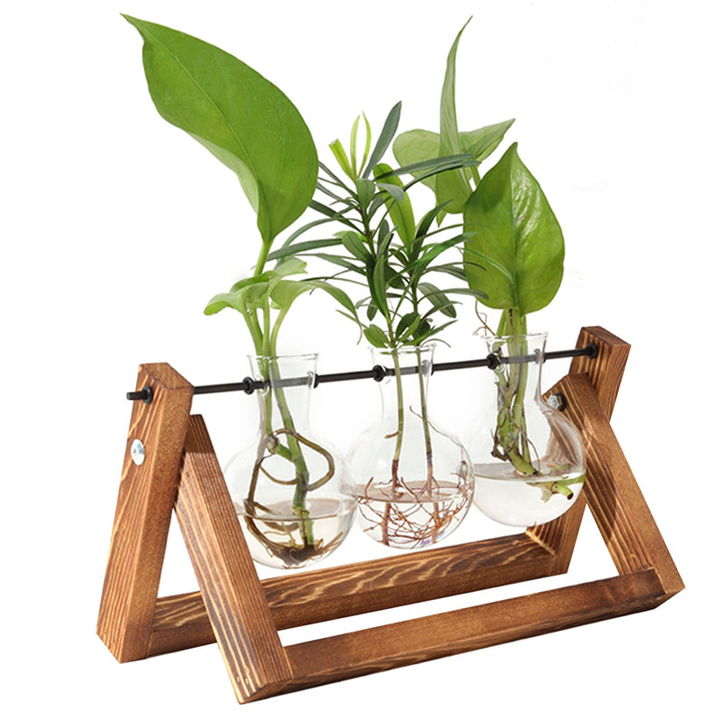 mothers day gifts-Desktop Glass Planter Bulb Plant Terrarium with Wooden Stand